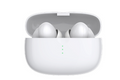 ANC Dual-Platform Wireless Earbuds