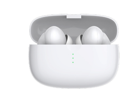 ANC Dual-Platform Wireless Earbuds